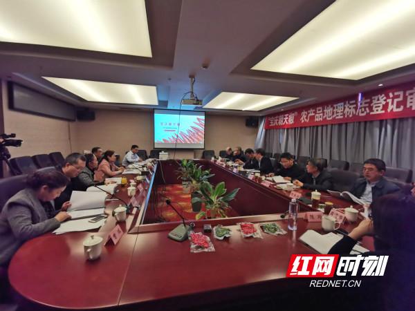 大祥区强力打造“宝庆朝天椒”农产品区域公用品牌
