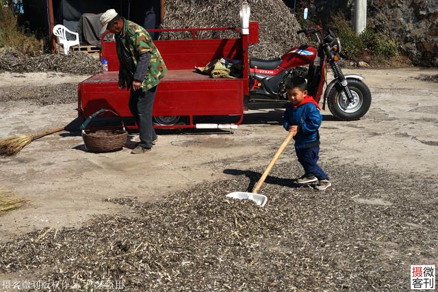 老人 跪在地上捡豆子一颗也不愿丢下 这是家里主要收入来源