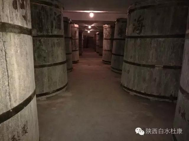 白水杜康助力2019“丝绸之路”中国渭南华山国际公路自行车赛完美收官