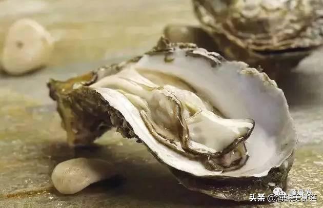 多图 | 全球主流贝类海鲜盘点，自然界坚不可摧的生物大家族