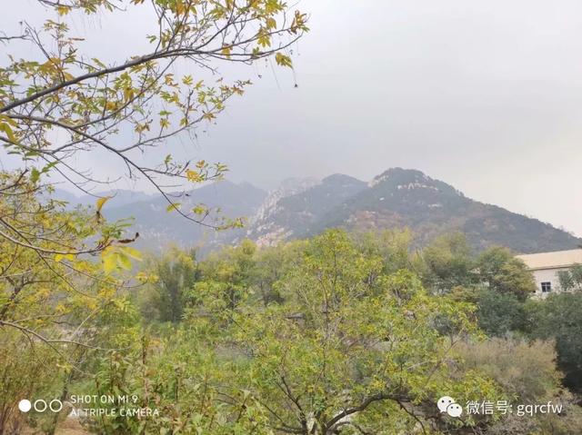国庆人才需求 2019.11.13