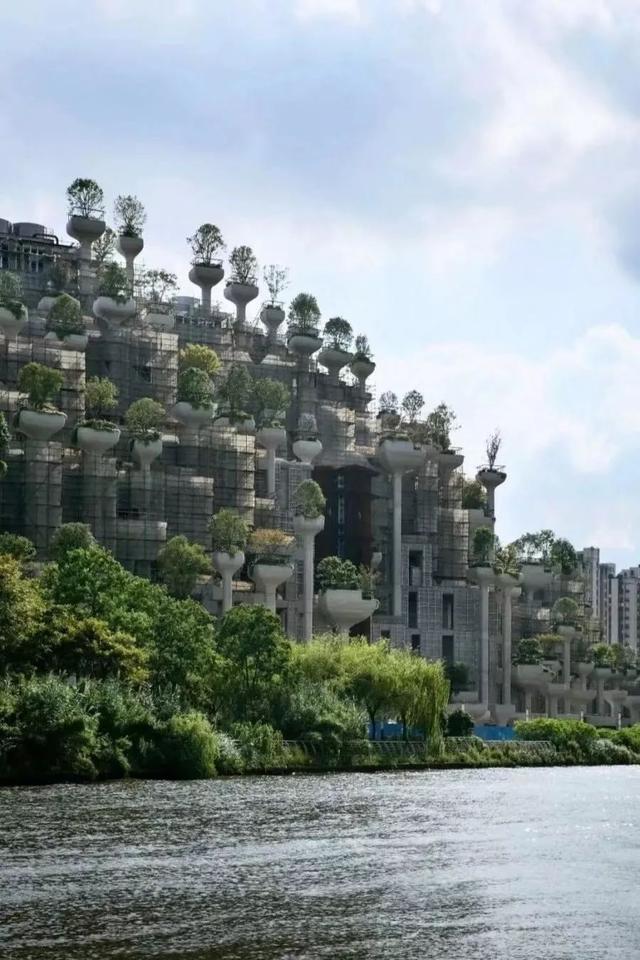 上海“1000 trees”爆火，网友：这作品确实配得上“鬼”才