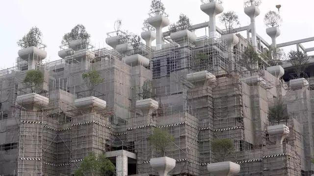 上海“空中花园”1000 trees爆火，这作品确实配得上“鬼”才