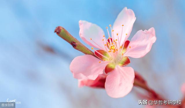 考研英语双语阅读：1小时血液检测阿尔茨海默症