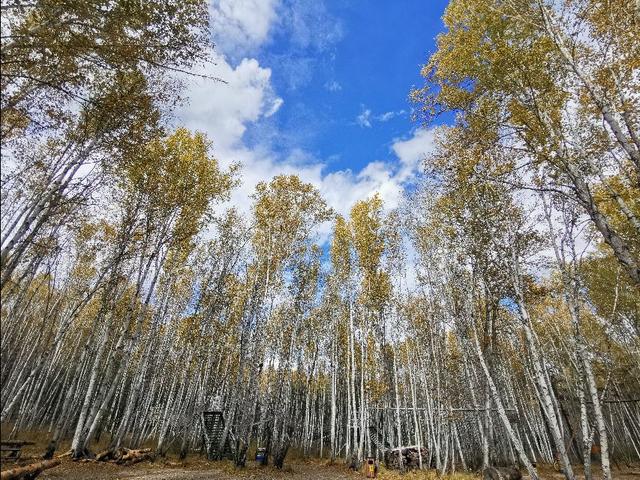 带娃骑马滑草喂羊的好地方，初秋风景美丽不冻人（一）