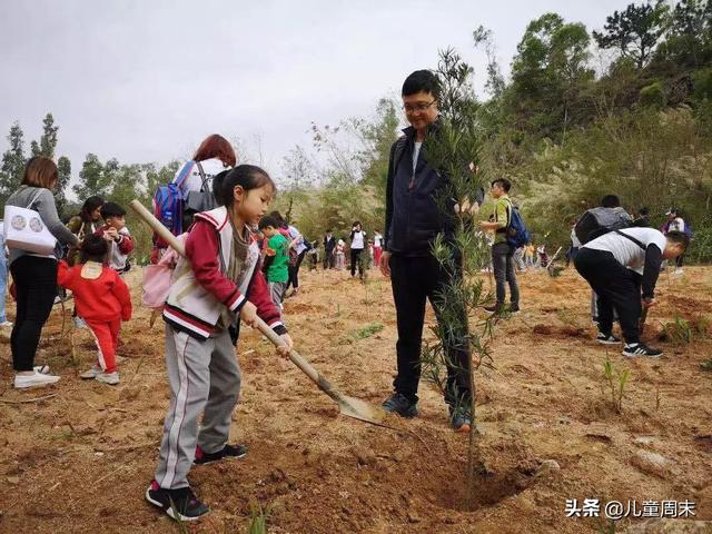 北大附中南山分校PK南山中英文，谁更有料？6大维度对比