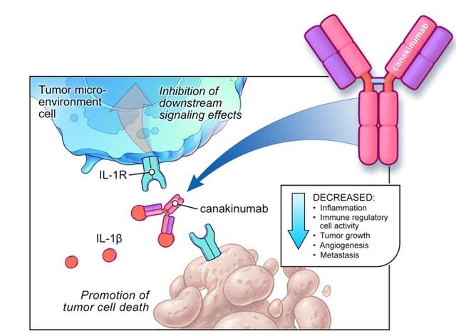 「诺华肿瘤CANA学院」2019 ESMO ASIA 重磅研究设计报道 | 晚期肺癌一线新疗法-卡那奴单抗或成新型重磅药