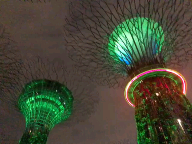 新加坡，滨海湾supertree