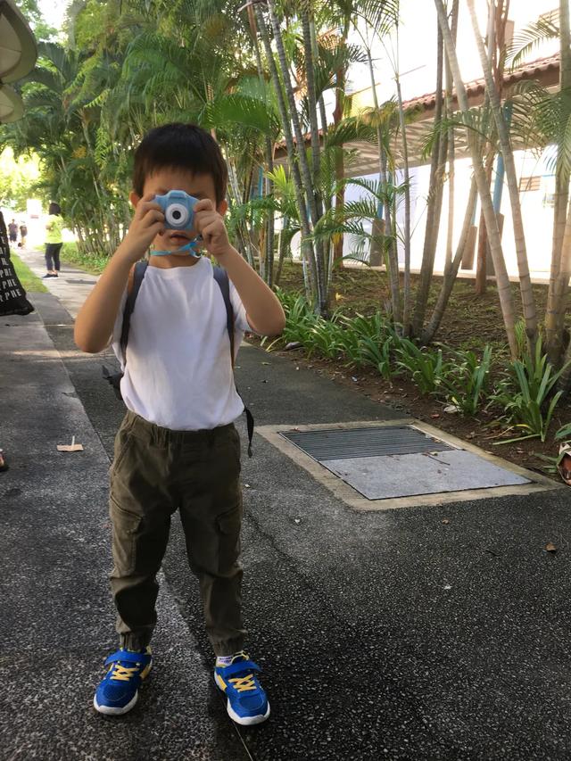 小黑鱼之新加坡幼师长成记 一名准幼师对反思的反思