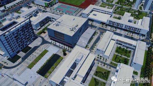 观点 | 深圳技术大学正式成立，我们为什么看好它？