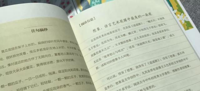 别让低层次的阅读，毁了孩子的学习！《丁立梅的阅读课》带你高效阅读