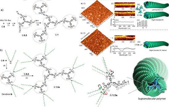精选JACS/Angew 12篇：树枝状大分子的最新成果大盘点