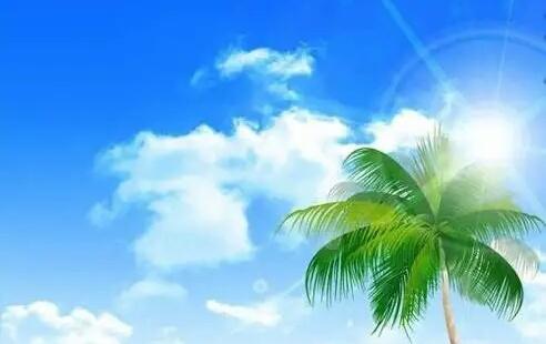 新加坡联赛看点：陈梦复仇战和巩固战，孙颖莎与伊藤美诚或再交锋