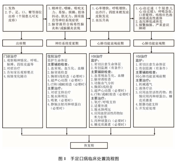 手足口病高发期，宝宝怎样不“中招”？送给年轻爸妈15字预防要诀