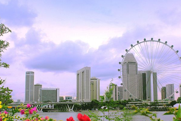 新加坡个人所得税税率多少？又该如何进行计算？