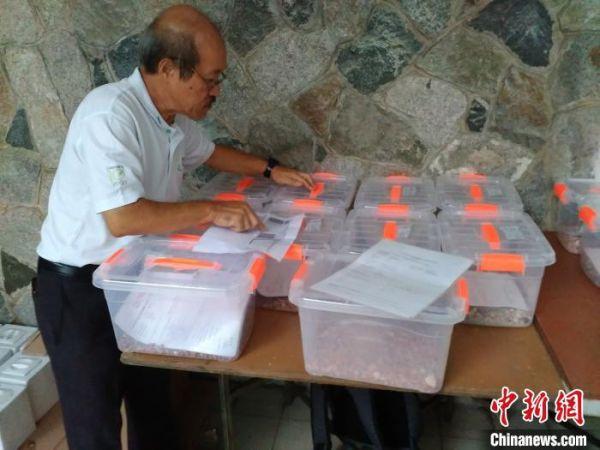 华侨海外寻亲迁坟：让“过番”的先人保留最后尊严