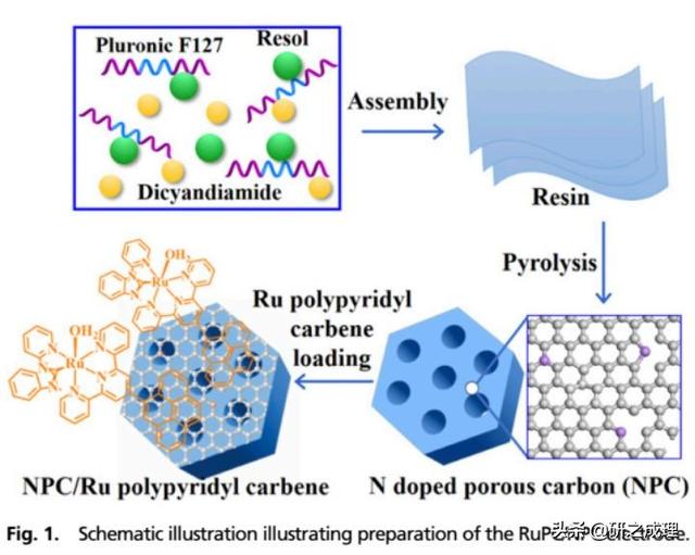 催化周报：Nature子刊、JACS、Angew大合集