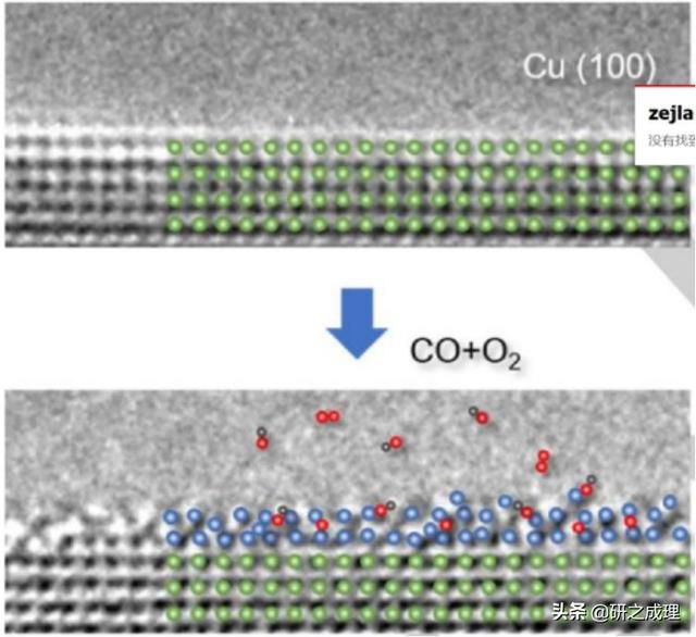 催化周报：Nature子刊、JACS、Angew大合集