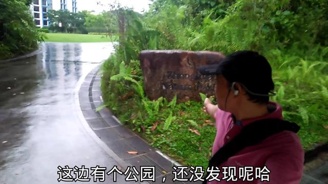 245期：下小雨，在新加坡一个小公园转，傻子，还和鸟比声音大小