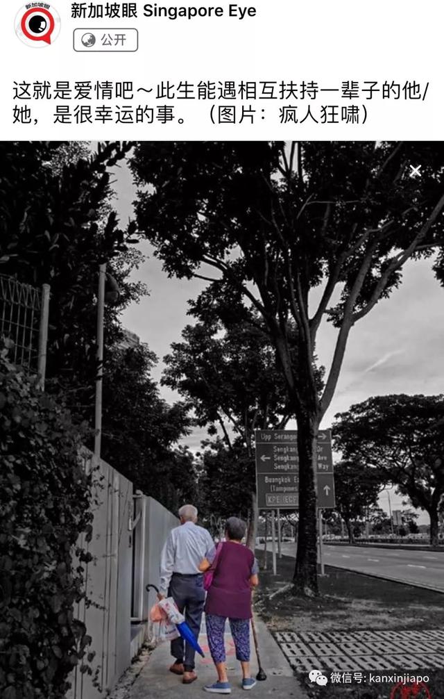 这对新加坡老夫妇，诠释了最美的爱情