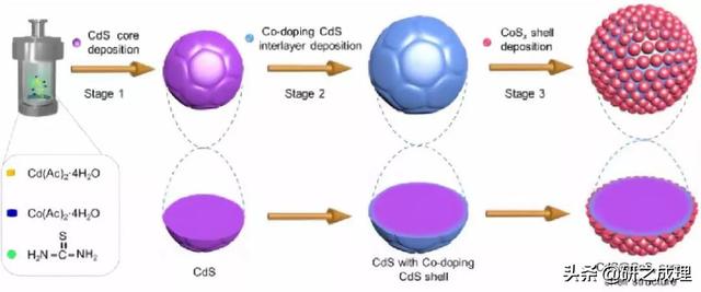 催化周报：Nature子刊、JACS、Angew大合集