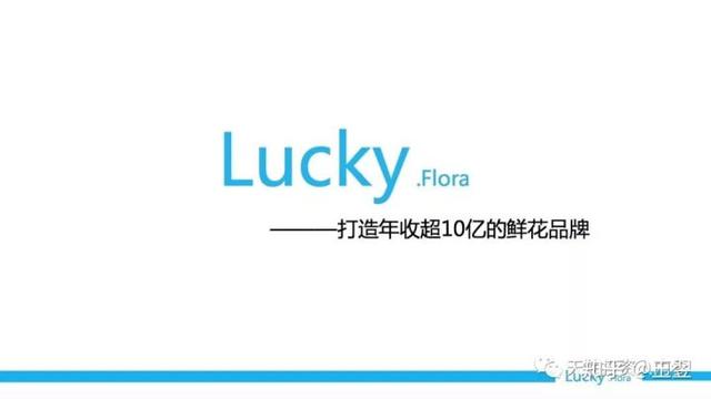 鲜花界的“滴滴”-Lucky flora