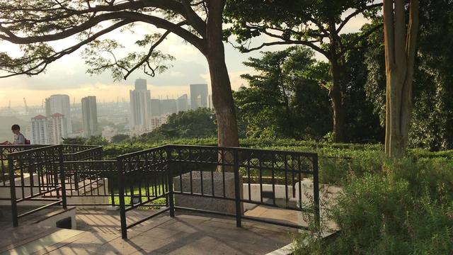 新加坡花芭山山顶风景美如油画，此版本更清晰