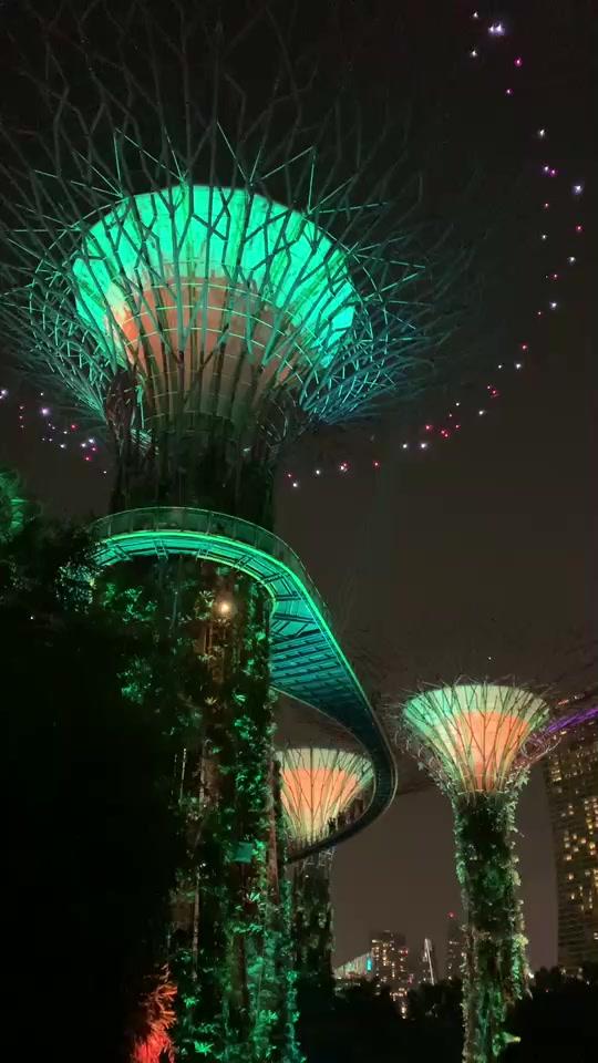 新加坡滨海湾花园灯光秀完整版，美轮美奂。