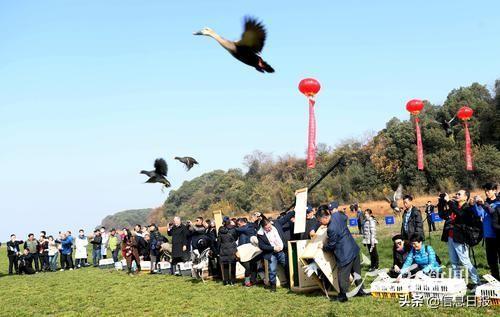 “美丽天使”共舞江西 鄱阳湖向世界发出邀约