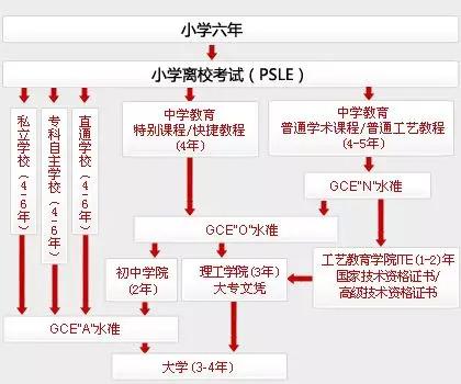 新加坡理工学院丨为何众多学生放弃“高中”，读“大专”？