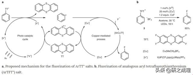 催化周报：子刊、JACS、AM、Angew.、EES大合集