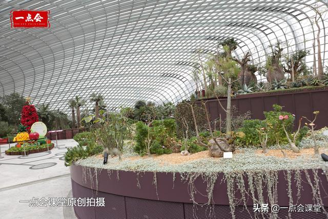 新加坡滨海湾花园里的植物冷室，集合了五大洲的植物，大饱眼福