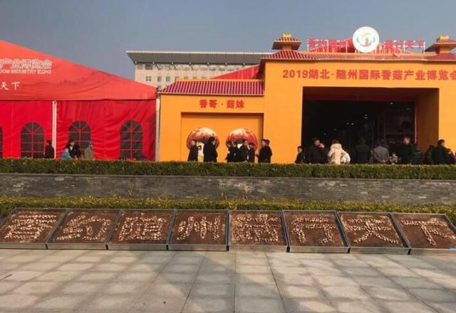 引领香菇产业高质量发展 2019湖北·随州国际香菇产业博览会开幕