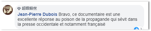 真实的力量 多语种新疆反恐纪录片引发海外热议