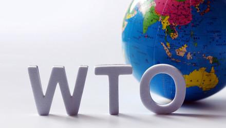 今天，美国“搞瘫”世贸组织上诉机构