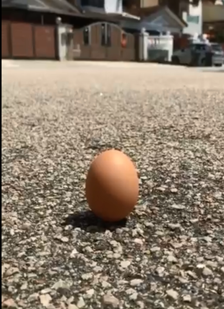 “日食立鸡蛋挑战”火了！日环食期间，国外网友马路上轻松立鸡蛋