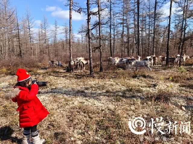 做公益、拍驯鹿、当小主播……重庆一80后妈妈带着6岁女儿玩转别样童年