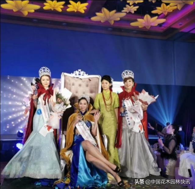 青花蓝国际旗袍经典大赛圆满落幕，“美”“善”同行探索未来之路