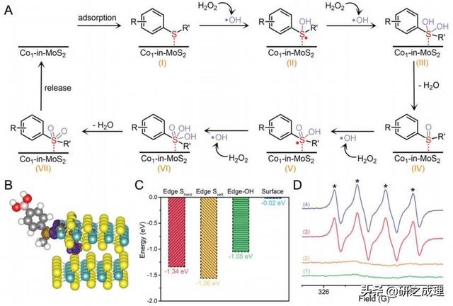 催化周报：子刊、JACS、AM、Angew.、EES大合集