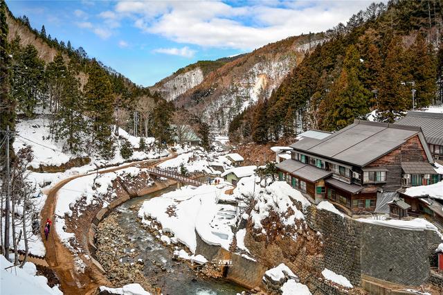 被“囚禁”的日本雪猴：景区靠食物哄骗猴子泡温泉，吸引游客关注