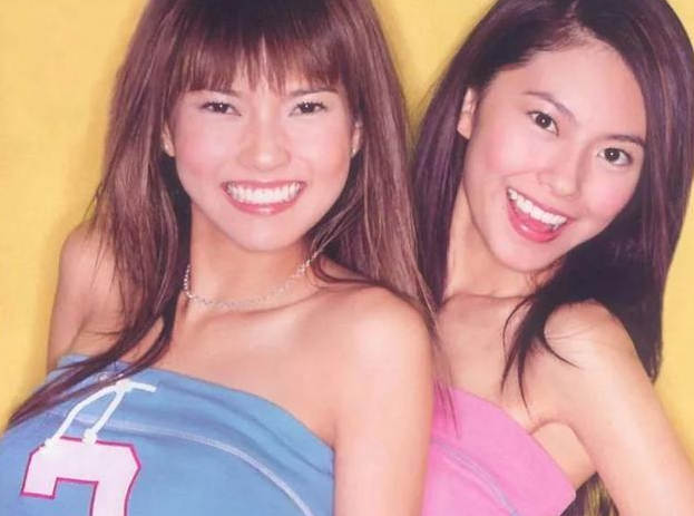 女星为嫁向佐离婚、退娱乐圈，却不敌陈岚反对，转身嫁300亿富豪