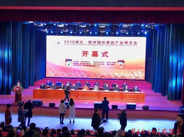 国际“菇博会”随州论道