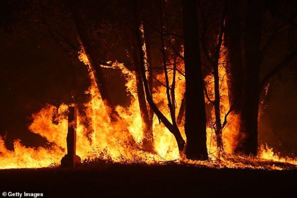 不断蔓延！澳洲大火烧了两个月还没灭，燃烧面积是新加坡的6倍