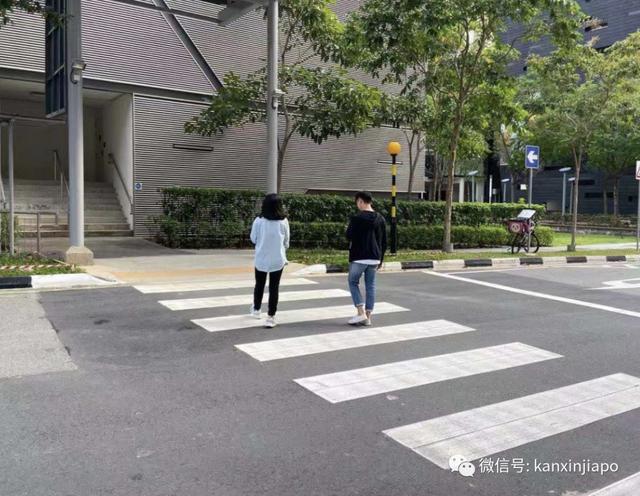 全网疯传：在新加坡过马路用手机，将被罚$1000？