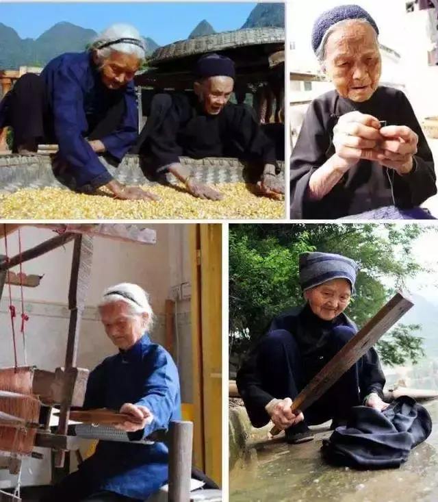 常识的作用：为什么所有长寿村都是假的