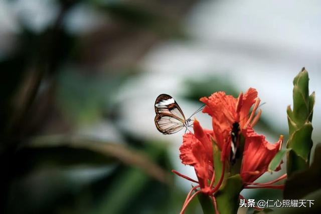 “素”名远扬，安享高寿，开国领袖黄炎培素食50年