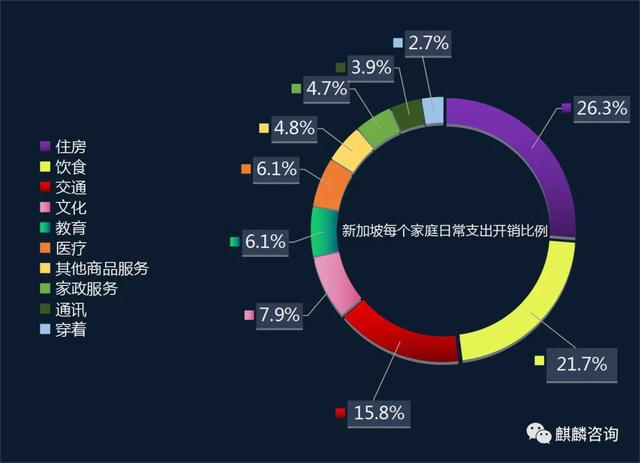 数说大数据下新加坡人的生活