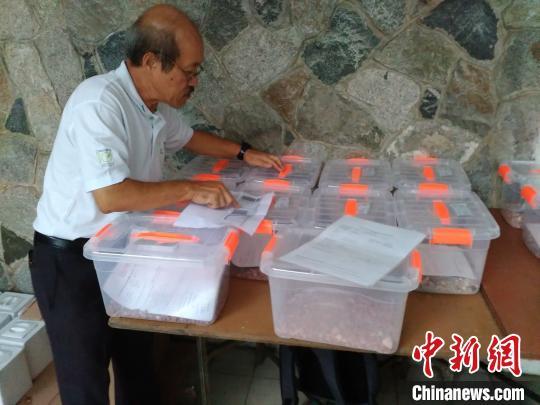 大马华侨海外寻亲迁坟：让“过番”的先人保留最后尊严