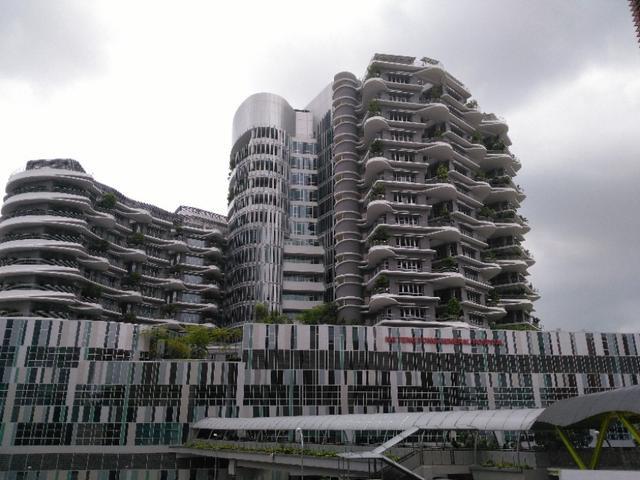 新加坡印象(三)：干净的城市。