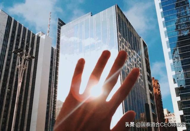 陈春花：对组织管理的理解我们只对了一半